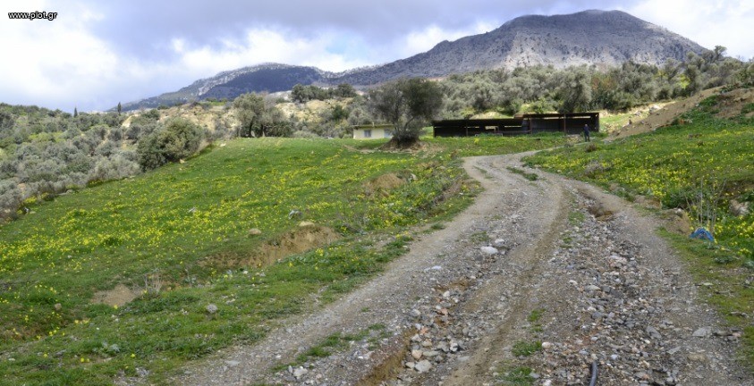 Αγροτεμάχια 12.000 τ.μ. πρός πώληση, Ν. Ηρακλείου, Ρουβάς