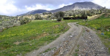 Parcel 12.000 sqm for sale