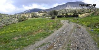 Αγροτεμάχια 12.000 τ.μ. για πώληση