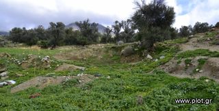 Αγροτεμάχια 12.000 τ.μ. προς πώληση, Γέργερη-thumb-1