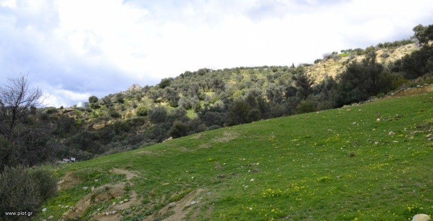 Αγροτεμάχια 12.000 τ.μ. πρός πώληση, Ν. Ηρακλείου, Ρουβάς