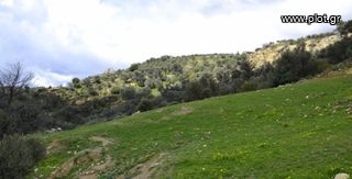 Αγροτεμάχια 12.000 τ.μ. προς πώληση, Γέργερη-thumb-2