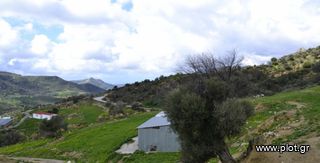 Αγροτεμάχια 12.000 τ.μ. προς πώληση, Γέργερη-thumb-7