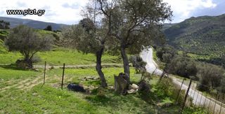 Αγροτεμάχια 12.000 τ.μ. προς πώληση, Γέργερη-thumb-8