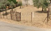 Οικόπεδο 196τ.μ. για πώληση-Γλυκά νερά » Κέντρο