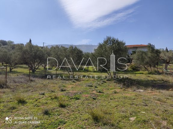 Parcel 3.100 sqm for sale, Athens - East, Koropi
