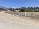 Οικόπεδο 415τ.μ. για πώληση-Παιανία » Άνοιξη