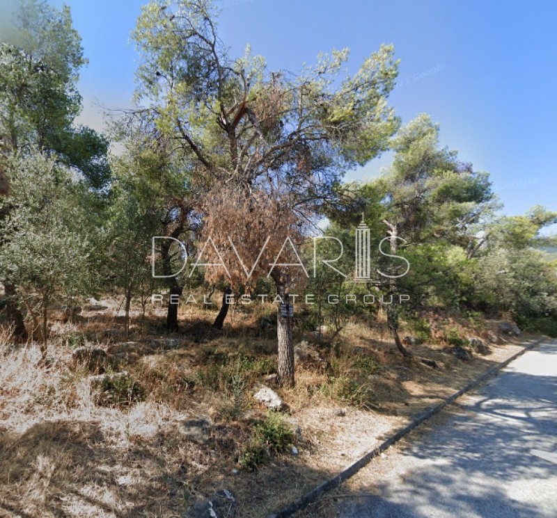 Οικόπεδο 800 τ.μ. πρός πώληση, Αθήνα - Ανατολικά Προάστια, Παλλήνη