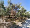Οικόπεδο 800τ.μ. για πώληση-Παλλήνη » Κάντζα