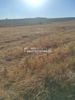 Parcel 4.000sqm for sale-Epanomi » Mesimeri