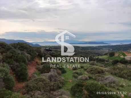 Parcel 4.290sqm for sale-Stira » Zoodochos Pigi