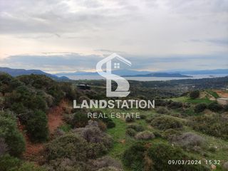 Αγροτεμάχια 4.290 τ.μ. για πώληση
