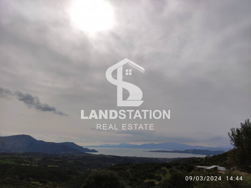 Αγροτεμάχια 7.136 τ.μ. πρός πώληση, Εύβοια, Στύρα