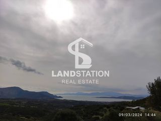 Αγροτεμάχια 7.136 τ.μ. για πώληση