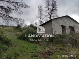 Αγροτεμάχια 29.768 τ.μ. για πώληση