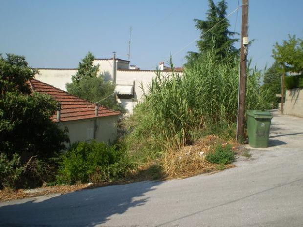 Οικόπεδο 264 τ.μ. για πώληση, Ν. Σερρών, Σέρρες