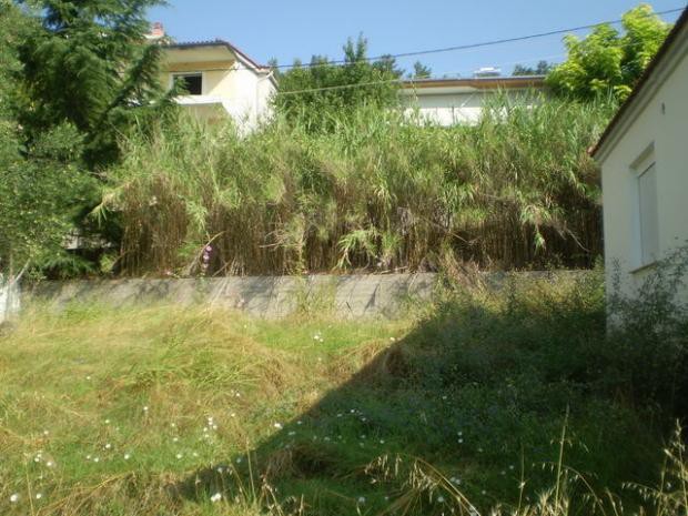 Land plot 264 sqm for sale, Serres Prefecture, Serres