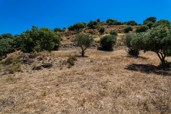 Οικόπεδο 6.940 τ.μ. πρός πώληση, Δωδεκάνησα, Λέρος