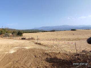 Αγροτεμάχια 13.000 τ.μ. για πώληση