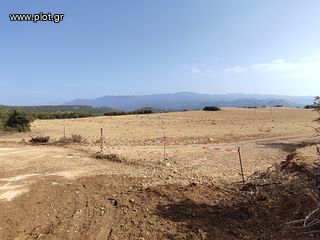 Αγροτεμάχια 13.000 τ.μ. για πώληση, Ν. Σερρών, Σιδηρόκαστρο-thumb-1