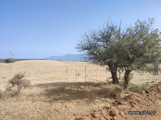Αγροτεμάχια 13.000 τ.μ. για πώληση, Ν. Σερρών, Σιδηρόκαστρο-thumb-2