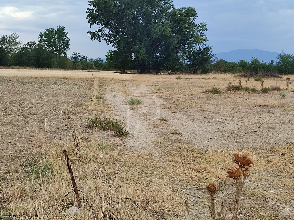 Αγροτεμάχια 6.500 τ.μ. για πώληση, Ν. Σερρών, Σιδηρόκαστρο