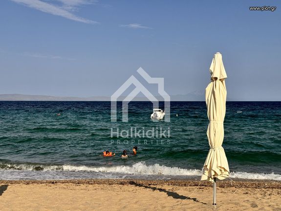 Αγροτεμάχια 1.550 τ.μ. για πώληση, Χαλκιδική, Σιθωνία