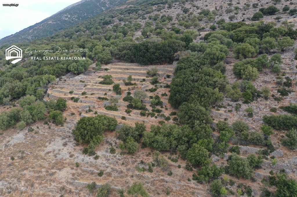 Αγροτεμάχια 7.308 τ.μ. πρός πώληση, Ν. Κεφαλονιάς, Κεφαλονιά