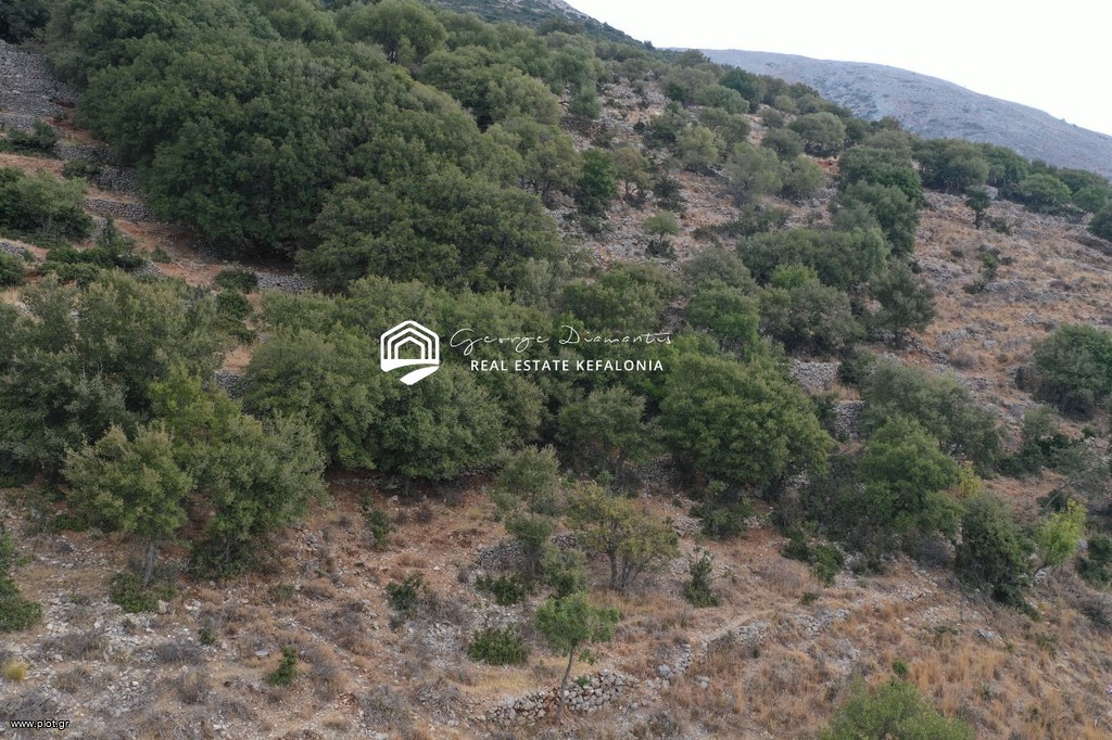 Αγροτεμάχια 7.308 τ.μ. πρός πώληση, Ν. Κεφαλονιάς, Κεφαλονιά