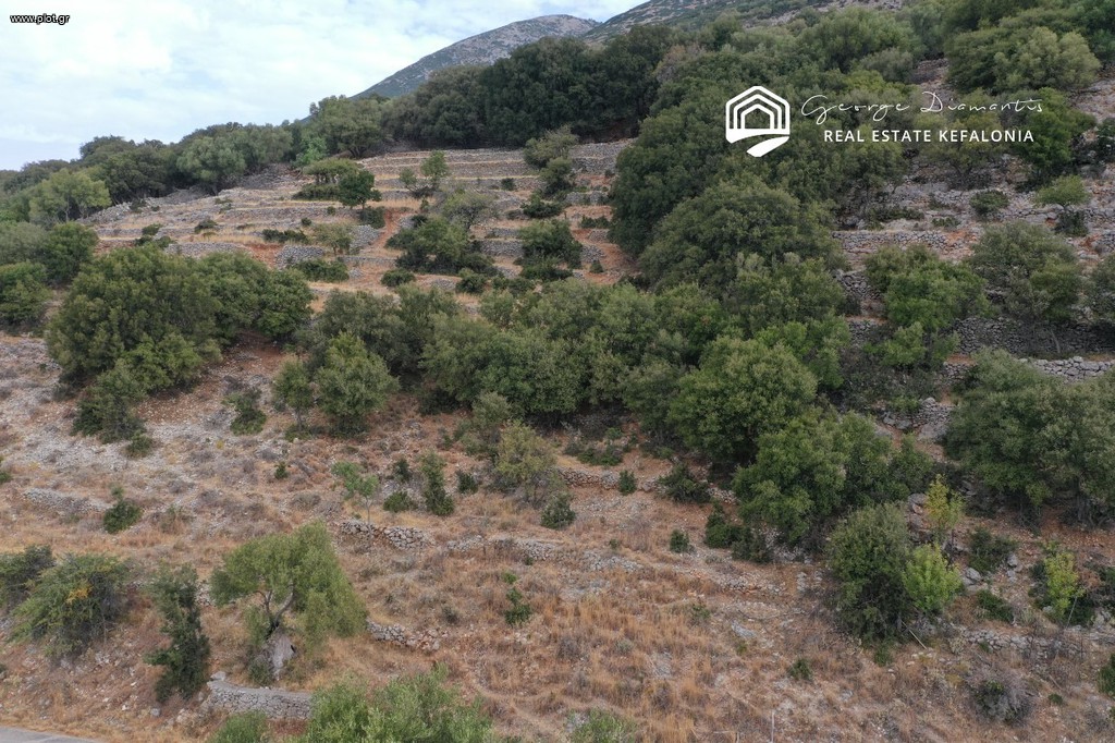 Αγροτεμάχια 7.308 τ.μ. πρός πώληση, Ν. Κεφαλονιάς, Κεφαλονιά