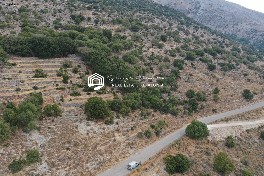 Αγροτεμάχια 7.308 τ.μ. πρός πώληση, Ν. Κεφαλονιάς, Κεφαλονιά
