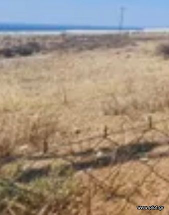 Οικόπεδο 16.000 τ.μ. για πώληση, Κυκλάδες, Μύκονος