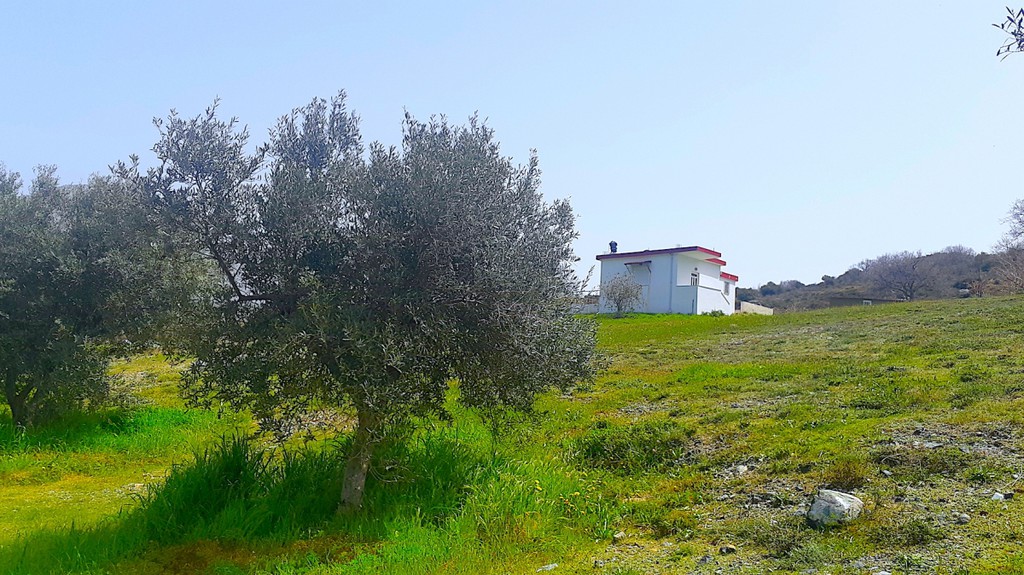 Μονοκατοικία 26.200 τ.μ. πρός πώληση, Ν. Ρεθύμνου, Λάμπη