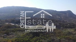 Οικόπεδο 4.200 τ.μ. για πώληση, Ν. Ρεθύμνου, Λάμπη-thumb-4