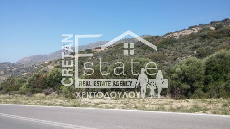 Οικόπεδο 4.200 τ.μ. πρός πώληση, Ν. Ρεθύμνου, Λάμπη