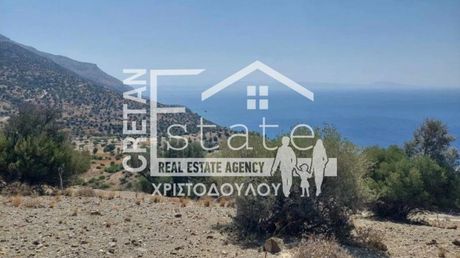 Οικόπεδο 4.200τ.μ. για πώληση-Λάμπη » Σακτούρια