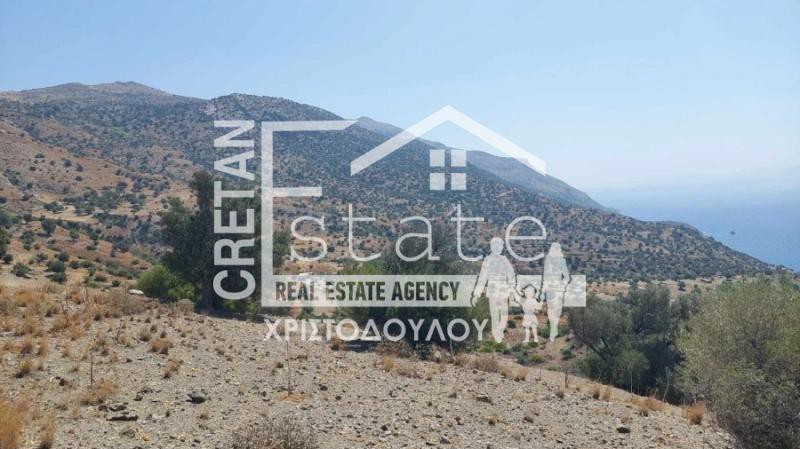 Οικόπεδο 4.200 τ.μ. πρός πώληση, Ν. Ρεθύμνου, Λάμπη