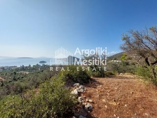 Αγροτεμάχια 5.251 τ.μ. για πώληση, Αργολίδα, Ασίνη-thumb-4