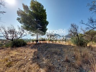 Αγροτεμάχια 5.251 τ.μ. για πώληση, Αργολίδα, Ασίνη-thumb-10