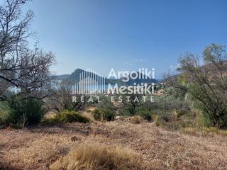 Αγροτεμάχια 5.251 τ.μ. για πώληση, Αργολίδα, Ασίνη-thumb-3
