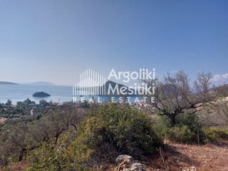 Αγροτεμάχια 5.251 τ.μ. για πώληση, Αργολίδα, Ασίνη-thumb-5