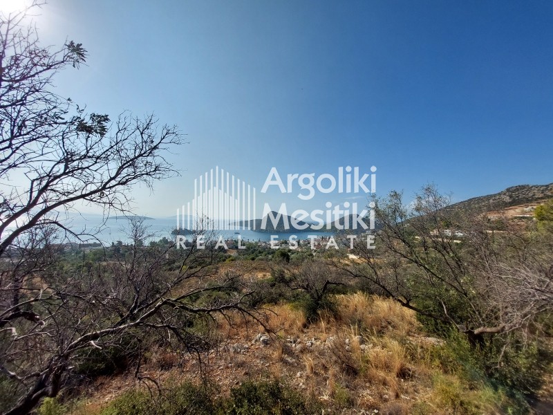 Αγροτεμάχια 5.251 τ.μ. προς πώληση, Τολό
