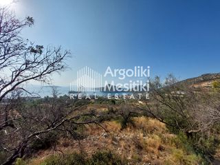 Αγροτεμάχια 5.251 τ.μ. για πώληση, Αργολίδα, Ασίνη-thumb-1