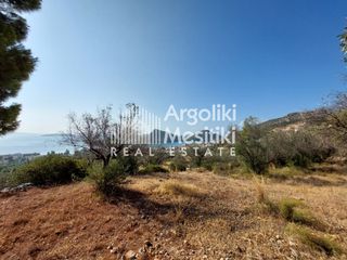Αγροτεμάχια 5.251 τ.μ. για πώληση, Αργολίδα, Ασίνη-thumb-2