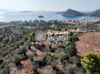 Αγροτεμάχια 5.251 τ.μ. για πώληση, Αργολίδα, Ασίνη-thumb-7
