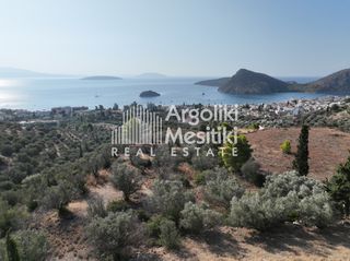 Αγροτεμάχια 5.251 τ.μ. για πώληση, Αργολίδα, Ασίνη-thumb-6