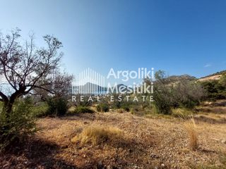 Αγροτεμάχια 5.251 τ.μ. για πώληση, Αργολίδα, Ασίνη-thumb-11