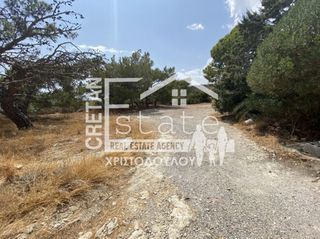 Οικόπεδο 2.400 τ.μ. για πώληση, Ν. Λασιθίου, Ιεράπετρα-thumb-12