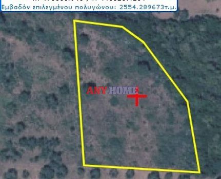 Parcel 2.500sqm for sale-Sithonia » Salonikiou