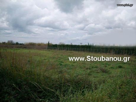 Parcel 2.000sqm for sale-Amaliada » Kouroutas